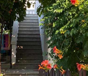 Seoca Apartment | Vesela vila