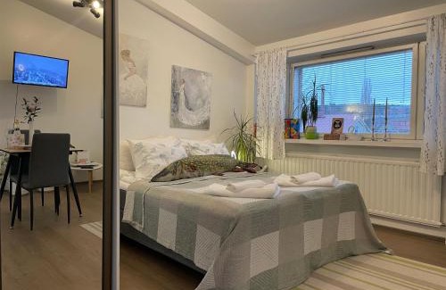 Lahti Apartment | VesiLahti RoofLevel Apartment