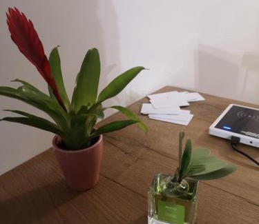 L'Aquila Bed & Breakfast | Via Roma