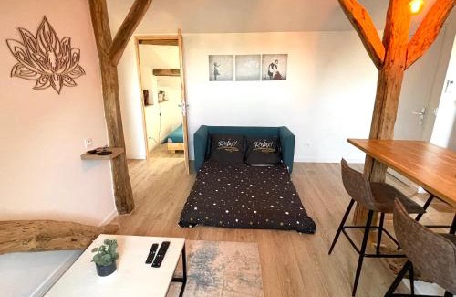 Auch Apartment | Victor Hugo - Petit cocon au calme