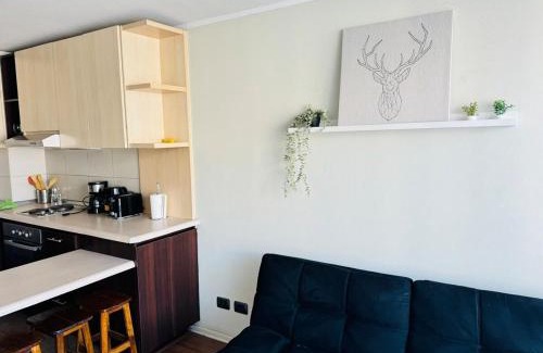 San Joaquin Apartment | Vicuña Mackenna - Metro Rodrigo de Araya