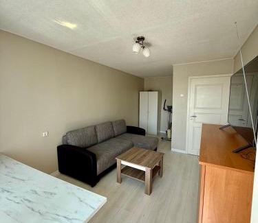 Klaipeda Apartment | Vieno kambario butas