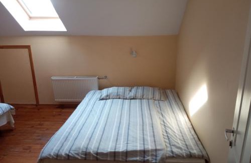 Regi House | Viesu nams Pinka