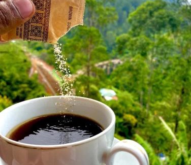 Ella Hotel | View arch wood cabin