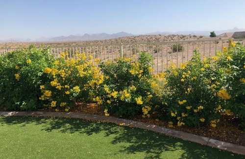Fort Mohave House | VIEW, NEWER HOME NEAR COLORADO RIVER, GOLF, SHOPPING, ATV TRAILS
