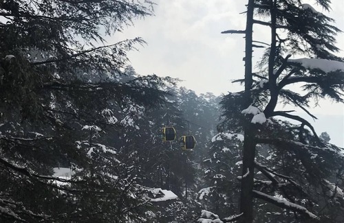 Shimla Apartment | Views from top of Shimla, 600 M from the Mall Road and The Ridge, Drive - in