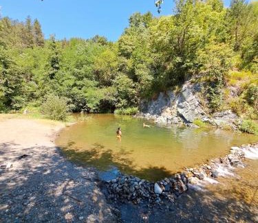 Central Serbia House | Vikend kuća Štavljanin Lopatnica