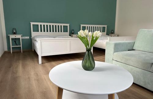 Ceske Budejovice Apartment | Vila Fráňa apartmán 1