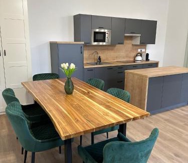 Ceske Budejovice Apartment | Vila Fráňa apartmán 1