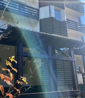 Poiana Tapului Villa | Vila Miro Monte