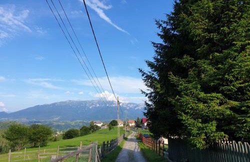 Pestera Villa | Vila Panoramic Pestera