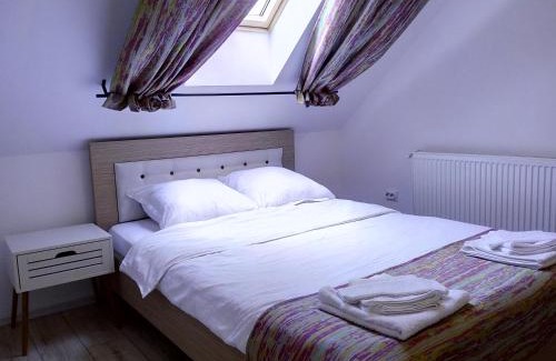 Slanic House | Vila Slanic