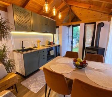 Tushemisht Villa | Vileta Auri