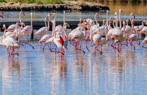 Saint-Saturnin-les-Avignon Villa | Villa with swimming pools, south of france, 6 people