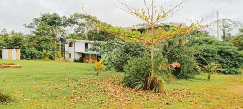 Kribi Villa | Villa 1200m2 de jardin "100m plage"