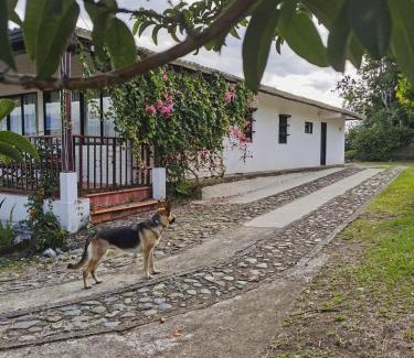 Popayan House | VILLA ALEJANDRA - Hermosa FINCA cerca al centro - Sendero - Jacuzzi