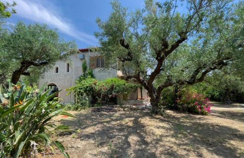 Porto Koukla Villa | Villa Anta house by the sea