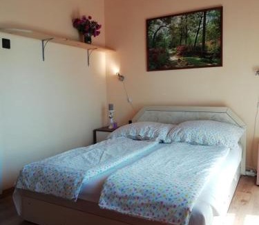 Balatonmariafurdo House | Villa Balcsi