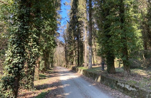 Cincelli Apartment | Villa Campoleone – Historical villa near Arezzo, Toscana