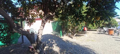 Alcolea House | Villa Coco