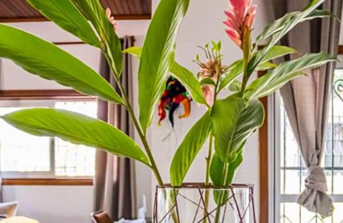 Kribi Villa | Villa confortable et calme ( avec vu sur mer)