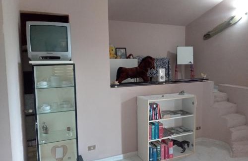 Sant'Eufemia Lamezia Apartment | VILLA CORTESE