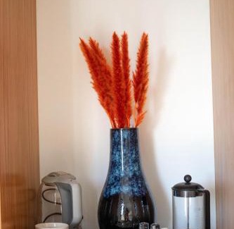 El Pescadero House | Villa Damiana Luxury Hotel