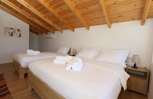 Berat Villa | Villa Dario Roshnik