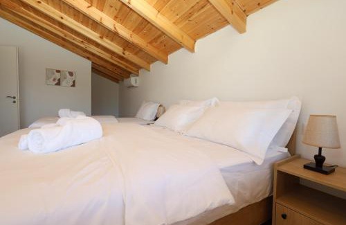 Berat Villa | Villa Dario Roshnik