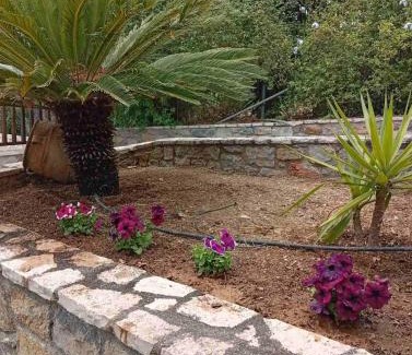 Amarinthos House | Villa Despoina
