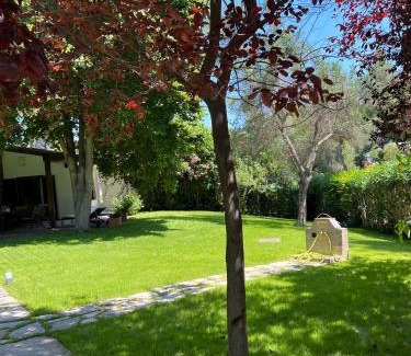 Sane Villa | Villa Diomedes