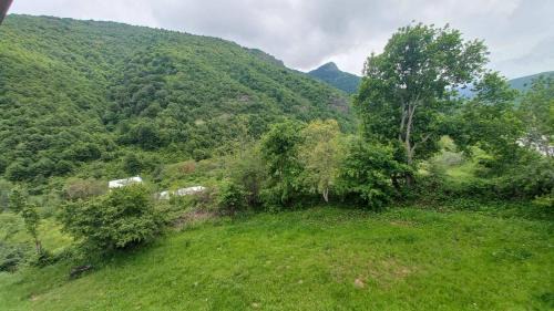 Bitola Villa | Villa DUMA