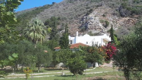 Larissos Villa | Villa Dunes 350m from the sandy beach
