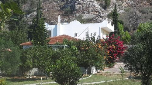 Larissos Villa | Villa Dunes 350m from the sandy beach