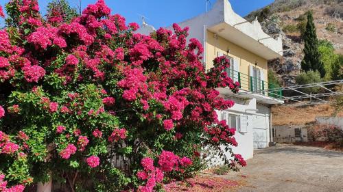 Larissos Villa | Villa Dunes 350m from the sandy beach
