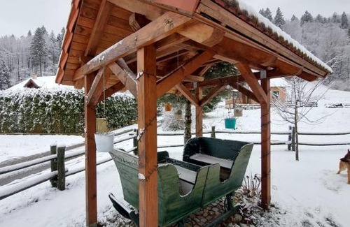 Jasenak Villa | Villa Goranka