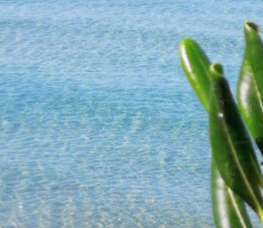 Sorso House | Villa Iris- indipendente sul mare