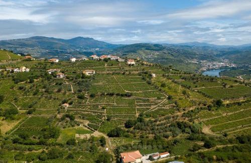 Lamego Villa | Villa Julieta