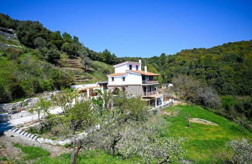 Skiathos Villa | Villa Krio Pigadi