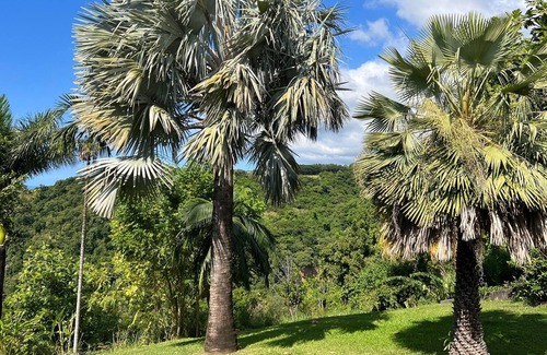 Saint-Claude Villa | Villa l'Oasis, swimming pool, jacuzzi, billiards