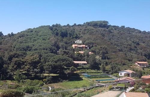 Fetovaia Villa | Villa Marilena - Goelba