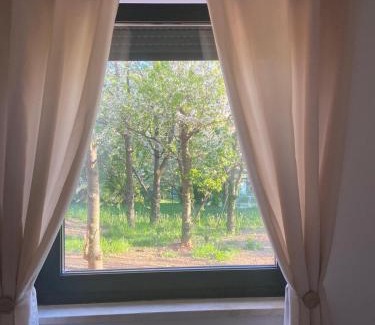 Rukavac Villa | Villa Mi, Rukavac Opatija Riviera