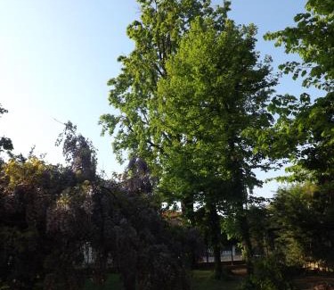 Piossasco Bed & Breakfast | Villa Mirano Bed & Breakfast