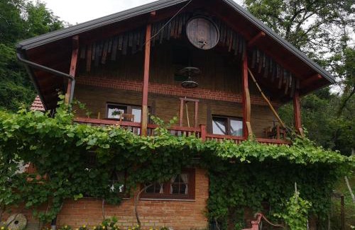 Hrascina Villa | Villa Mirela
