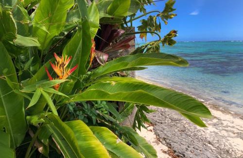 Nu'urua Villa | Villa Miti Vai by ENJOY VILLAS