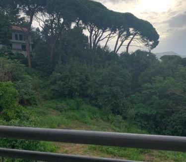 Herceg Novi Apartment | Villa Monte Boutique Apartments in Herceg Novi