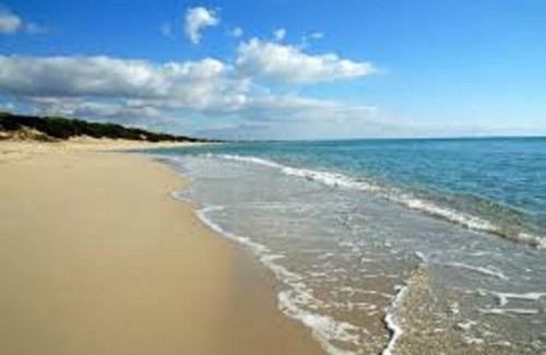 Torre Vado House | Villa Nepole