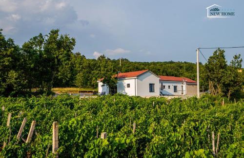 Imotski Villa | Villa New Home, villa with pool in Imotski near Makarska