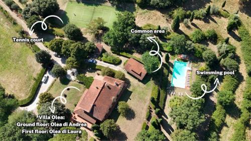 Reggello House | Villa Olea