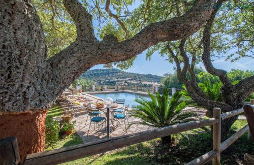 Putifigari Villa | Villa Olive tree, immersa nella natura per relax e quiete
